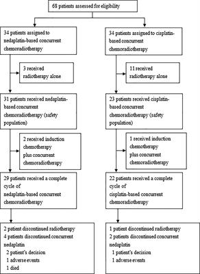 Concurrent Chemoradiotherapy With Nedaplatin Versus Cisplatin in Patients With Stage IIB-IVA Cervical Cancer: A Randomized Phase III Trial